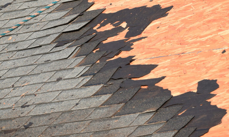 Dibble Roofing - Roofing Services in Jacksonville Since 1949